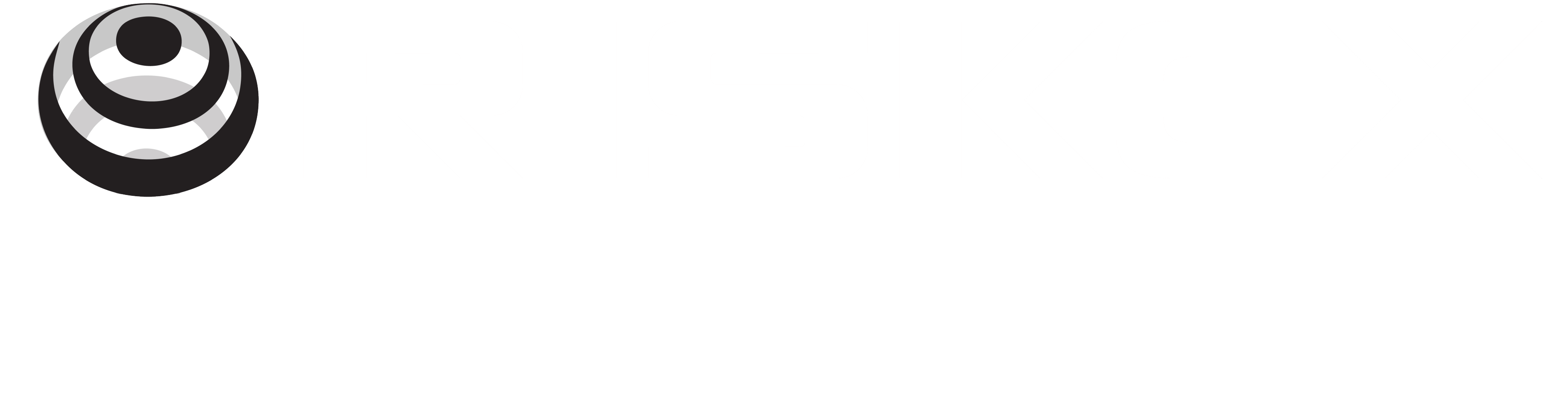 Riskex Roundup white logo